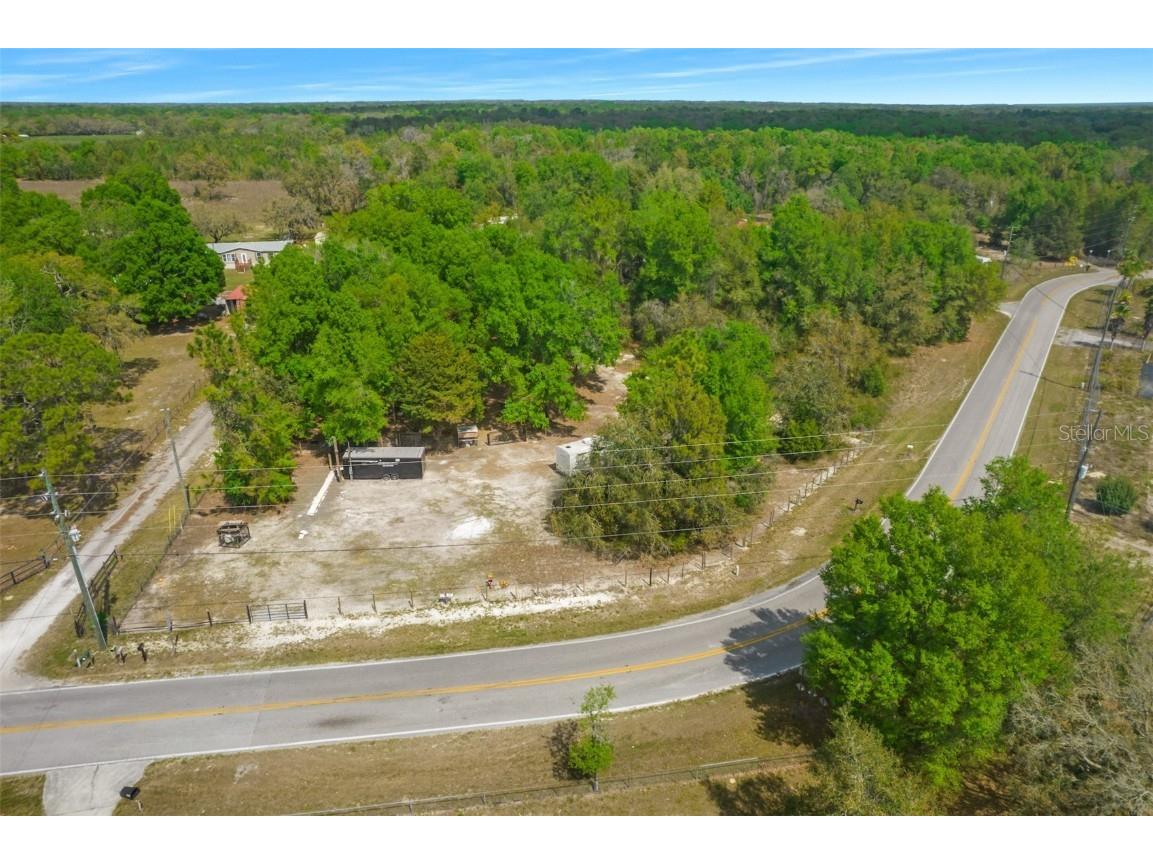 17755 Bosley Spring Hill FL 34610 W7853254 image4