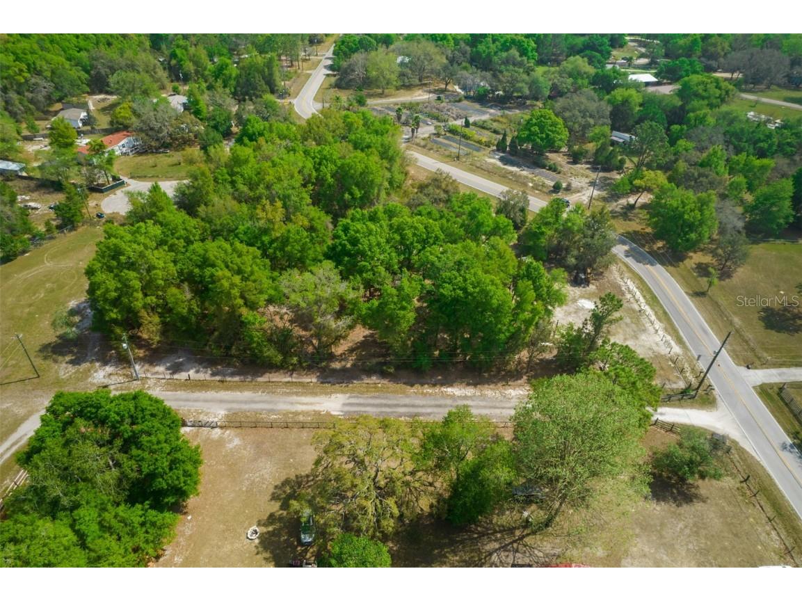 17755 Bosley Spring Hill FL 34610 W7853254 image6