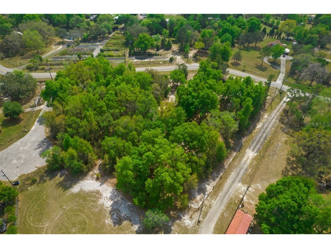 17755 Bosley Spring Hill FL 34610 W7853254 image7