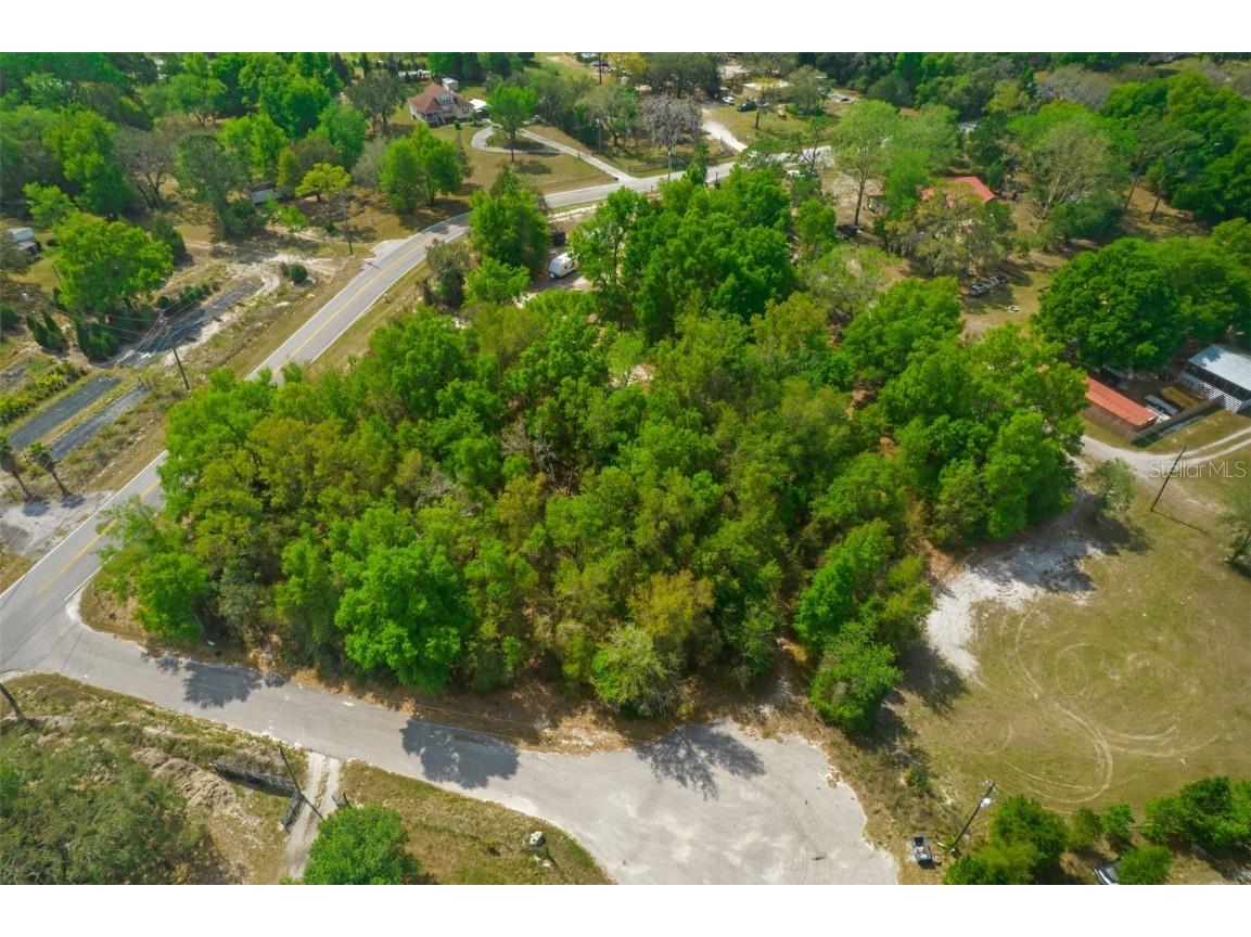 17755 Bosley Spring Hill FL 34610 W7853254 image8