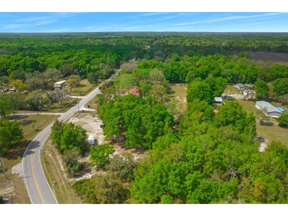 17755 Bosley Spring Hill FL 34610 W7853254 image9