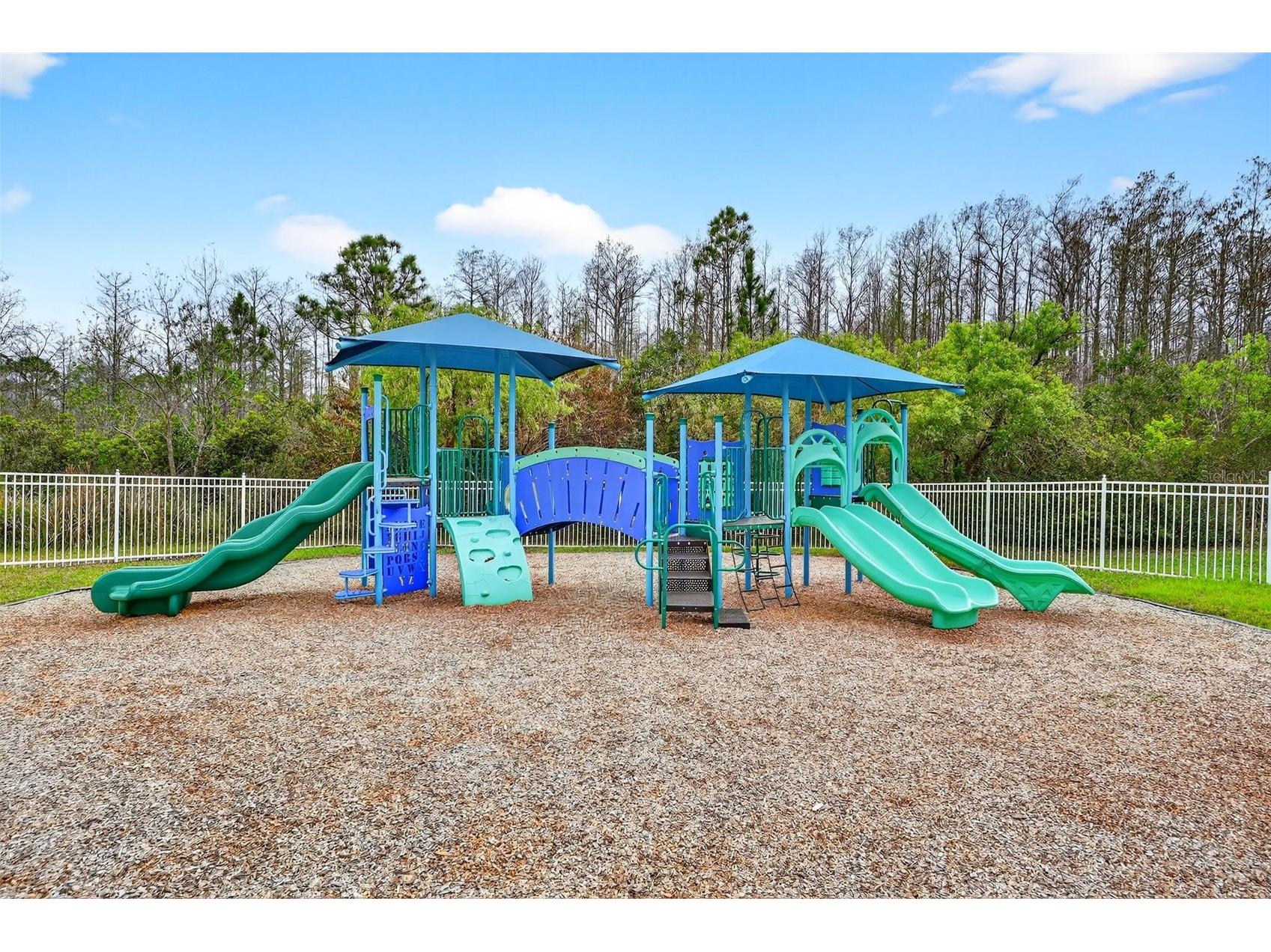17756 Sterling Pond Lane Orlando FL 32820 O6390776 image62