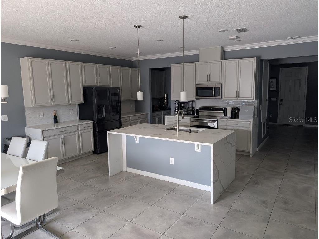 1776 Black Maple Place Ocoee FL 34761 S5136202 image4