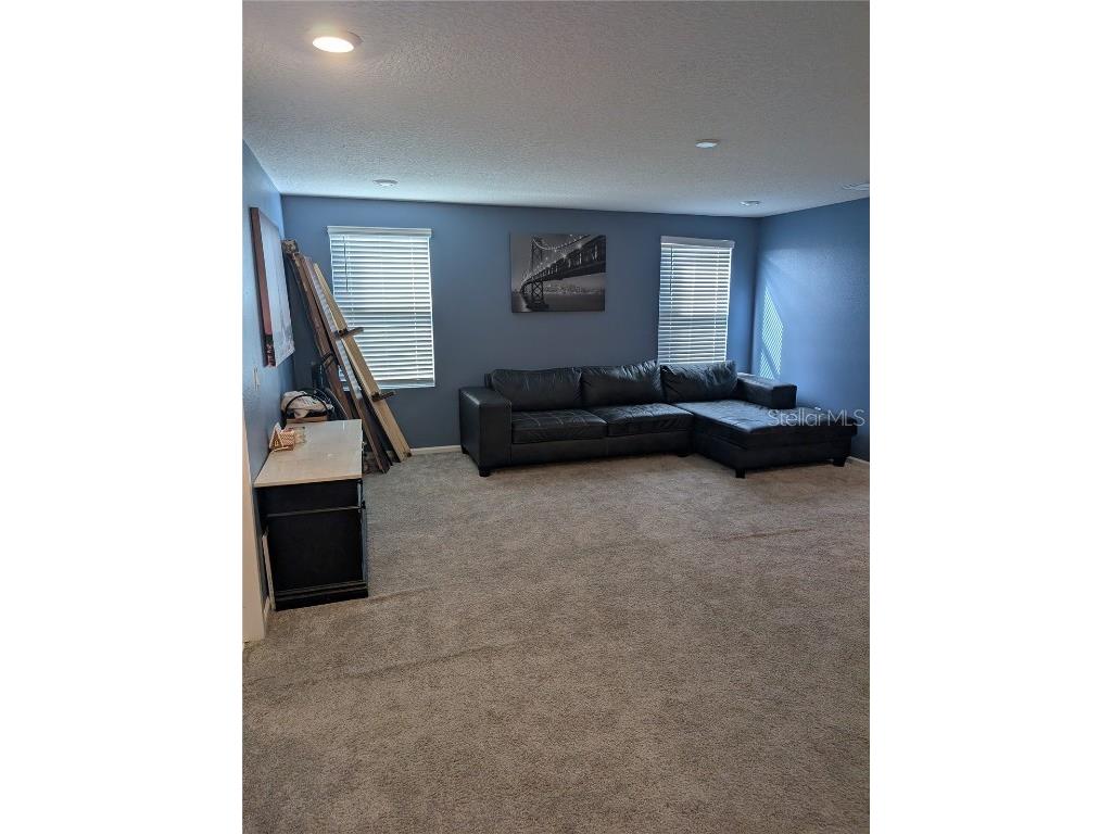 1776 Black Maple Place Ocoee FL 34761 S5136202 image7