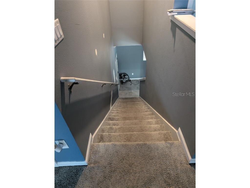 1776 Black Maple Place Ocoee FL 34761 S5136202 image9