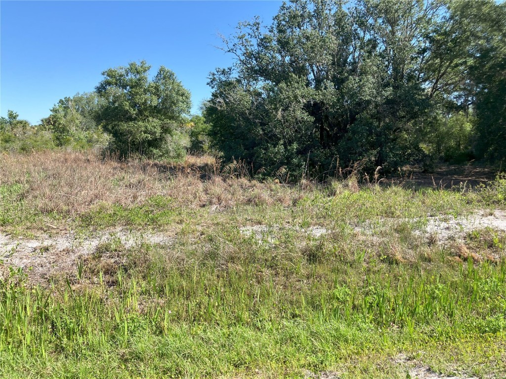 17763 NW 278 Street Okeechobee FL 34972 O6306109 image3