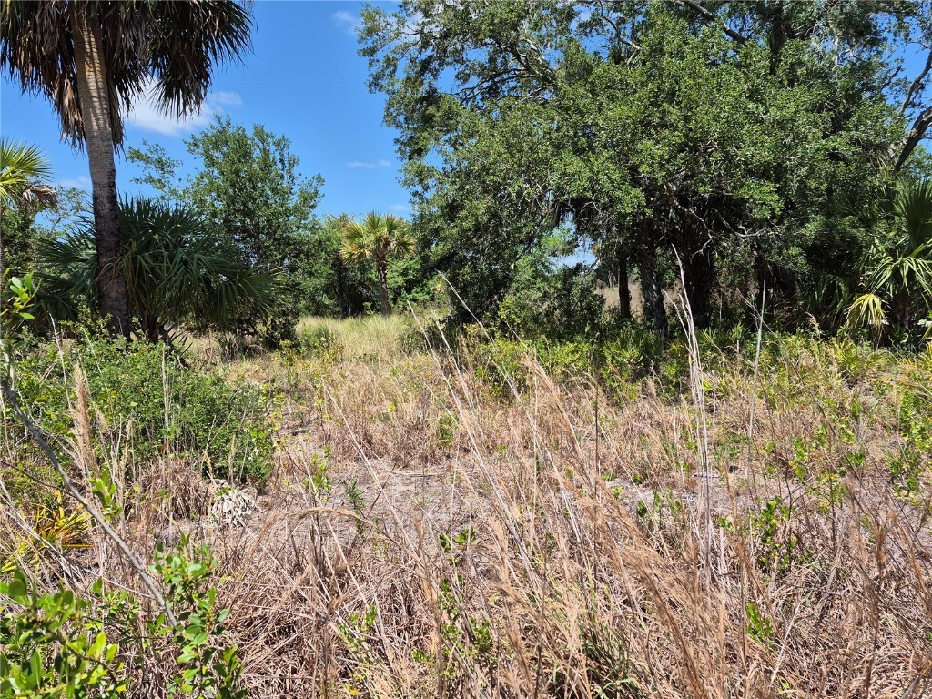 17763 NW 310th Street Okeechobee FL 34972 OK225158 image1