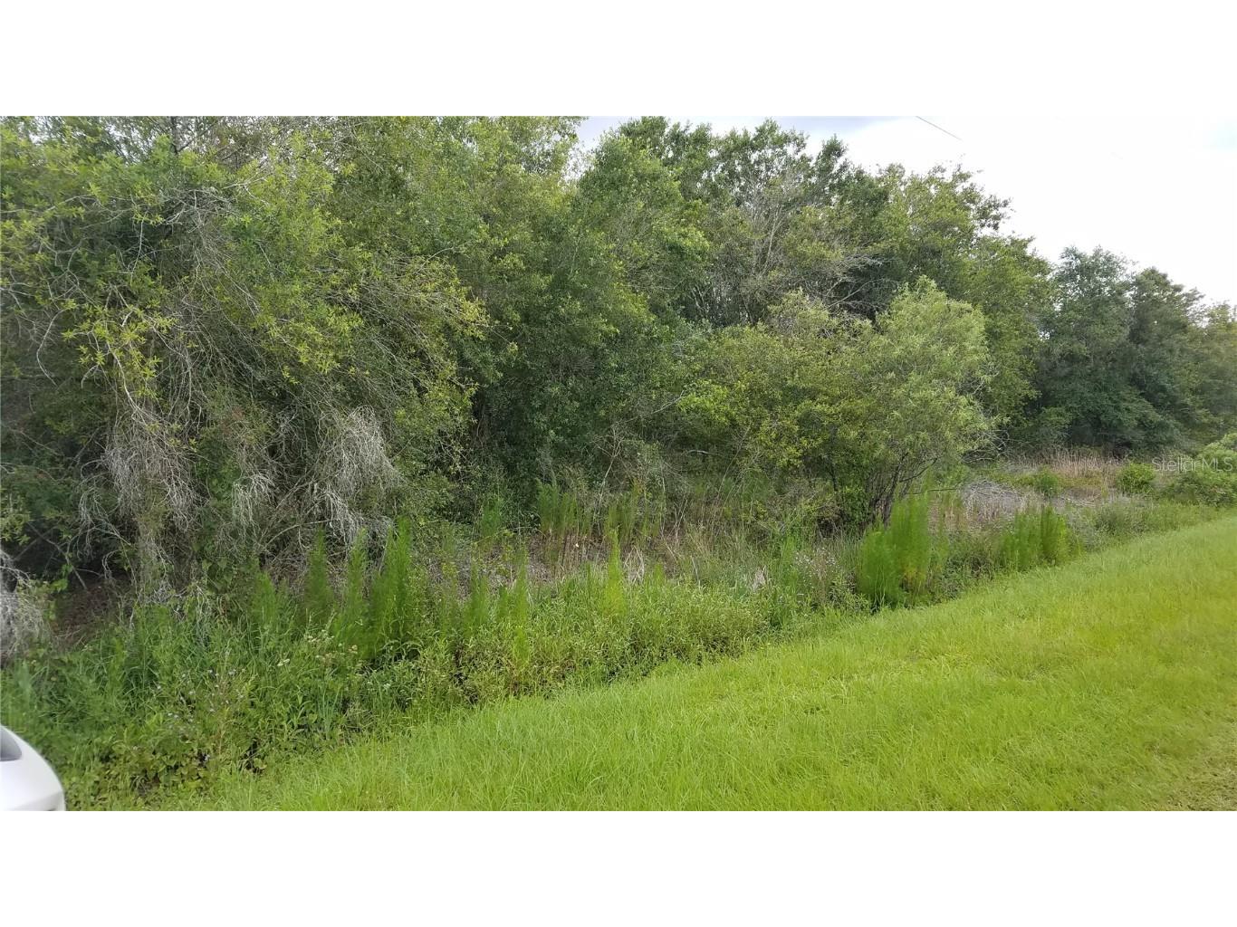 17767 NW 250th Street Okeechobee FL 34972 OK222914 image1
