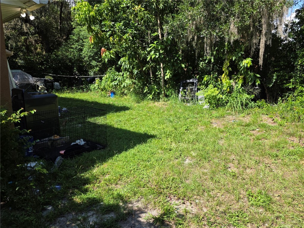 1777 N Orange Street Mount Dora FL 32757 O6332808 image4