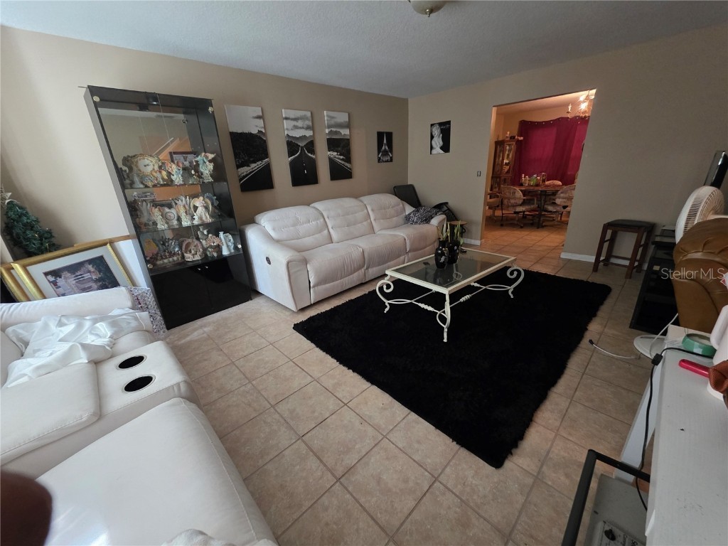 1777 N Orange Street Mount Dora FL 32757 O6332808 image6