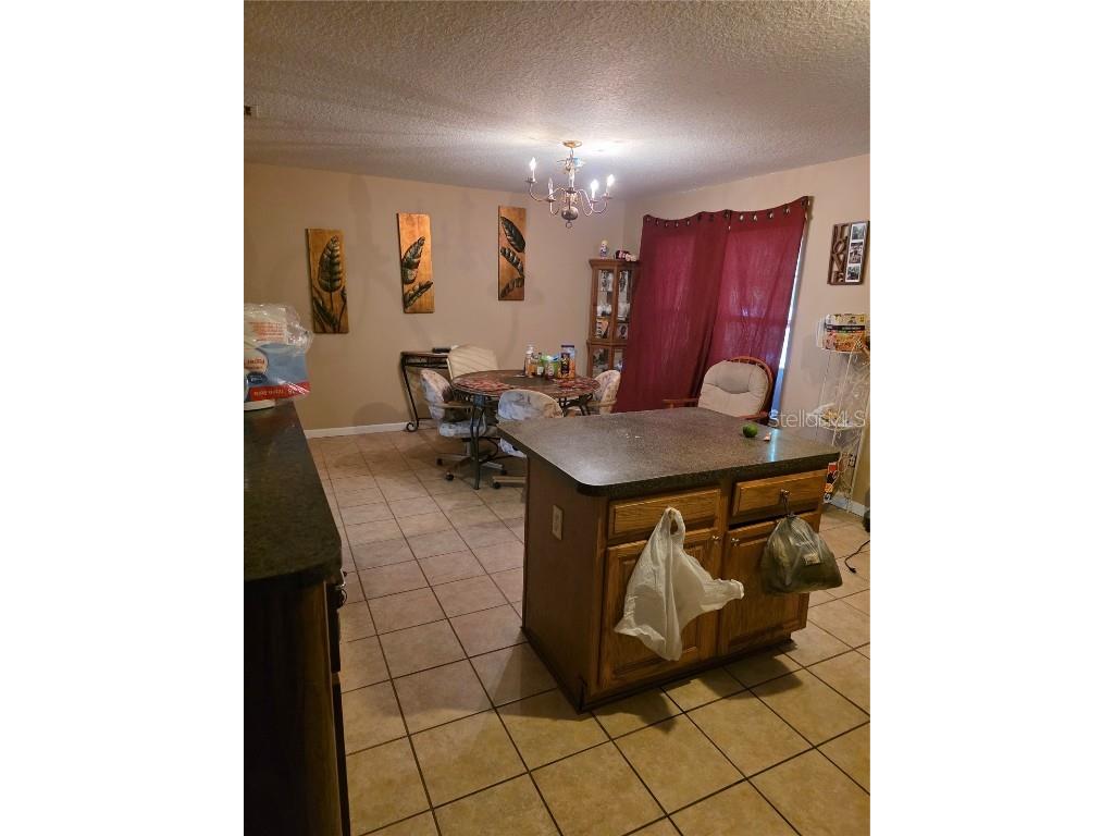 1777 N Orange Street Mount Dora FL 32757 O6332808 image9