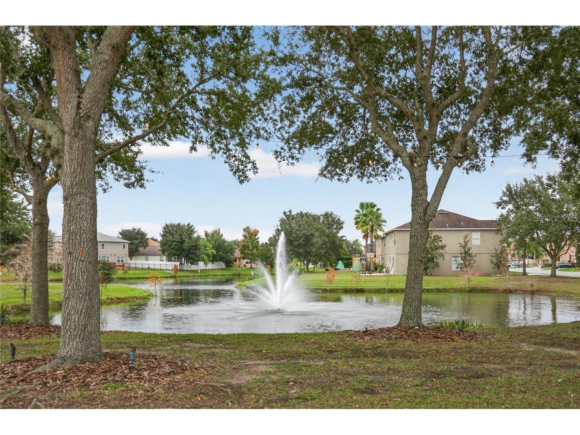 1777 Strathmore Circle Mount Dora FL 32757 O6366802 image27