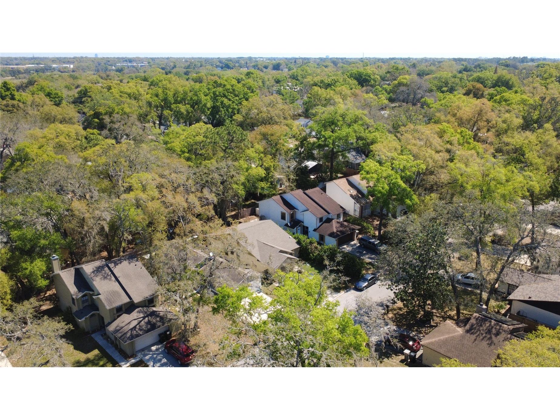 1777 Summit Chase Avenue Apopka FL 32703 O6393748 image2