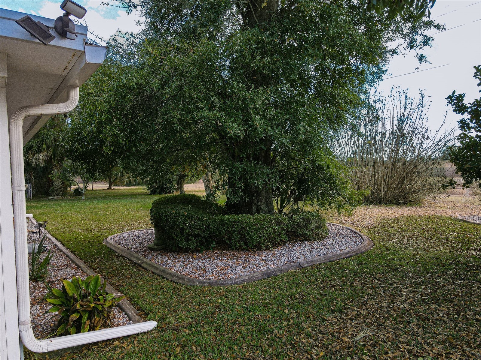 17770 SE 95th Circle Summerfield FL 34491 OM716213 image18