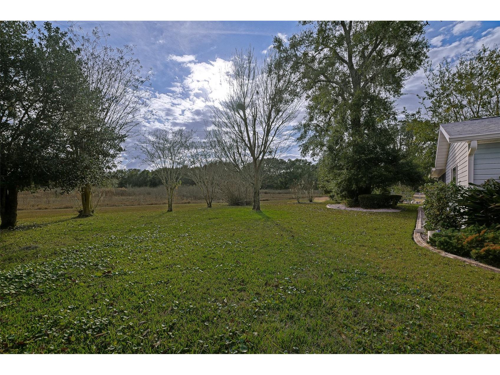 17770 SE 95th Circle Summerfield FL 34491 OM716213 image36