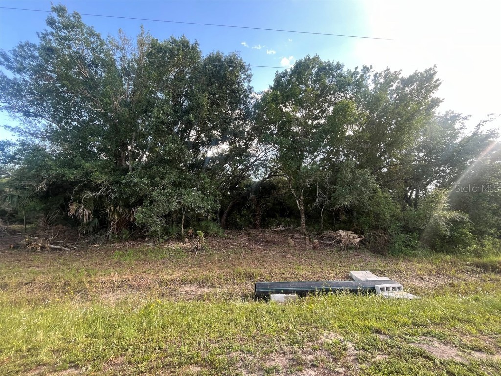 17774 NW 254th Street Okeechobee FL 34972 OK225082 image1