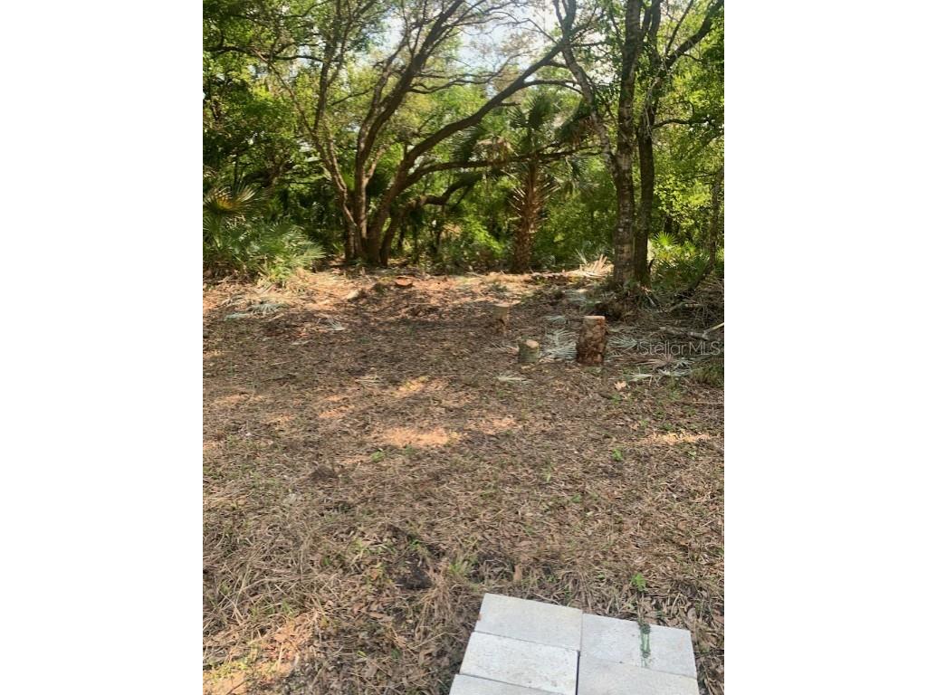 17774 NW 254th Street Okeechobee FL 34972 OK225082 image10