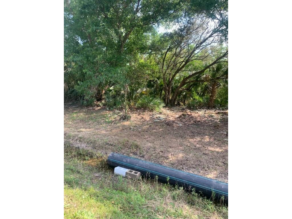 17774 NW 254th Street Okeechobee FL 34972 OK225082 image11