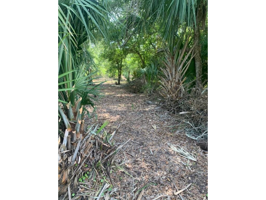 17774 NW 254th Street Okeechobee FL 34972 OK225082 image12