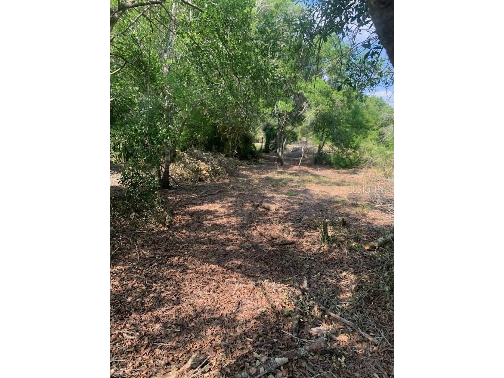 17774 NW 254th Street Okeechobee FL 34972 OK225082 image13