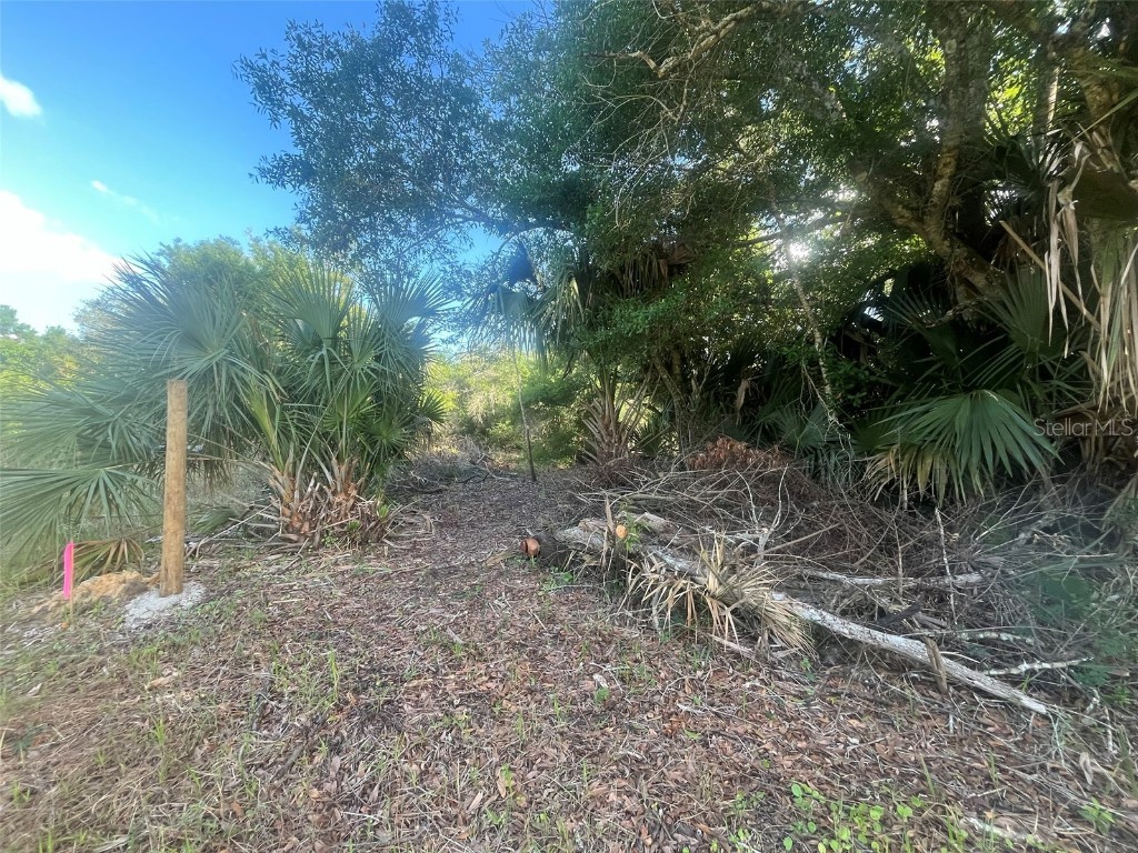 17774 NW 254th Street Okeechobee FL 34972 OK225082 image3