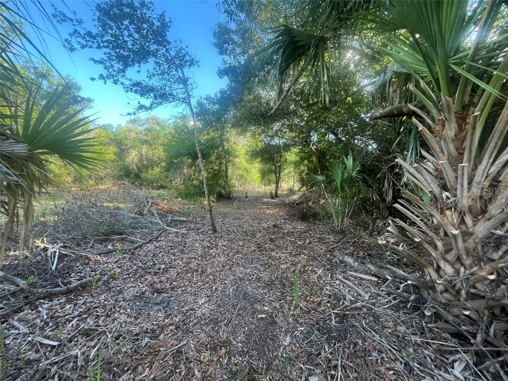 17774 NW 254th Street Okeechobee FL 34972 OK225082 image4