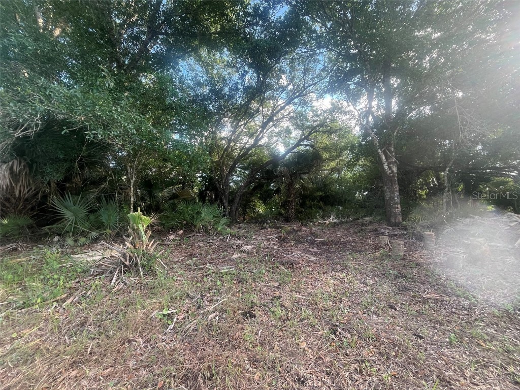 17774 NW 254th Street Okeechobee FL 34972 OK225082 image6