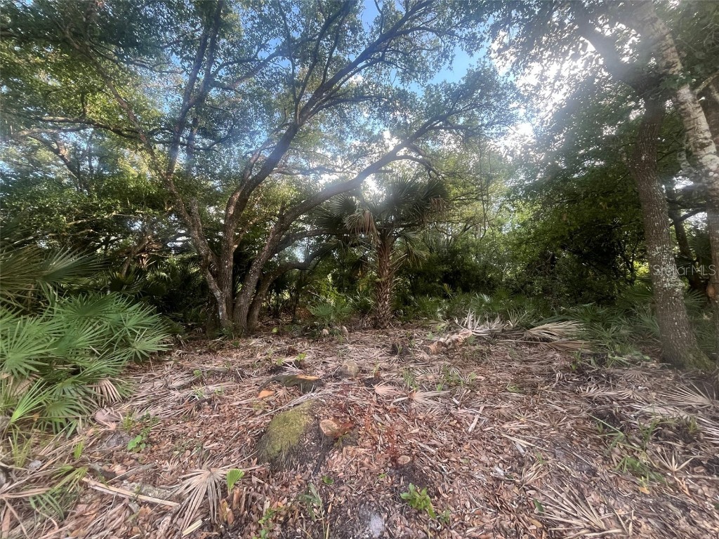 17774 NW 254th Street Okeechobee FL 34972 OK225082 image7