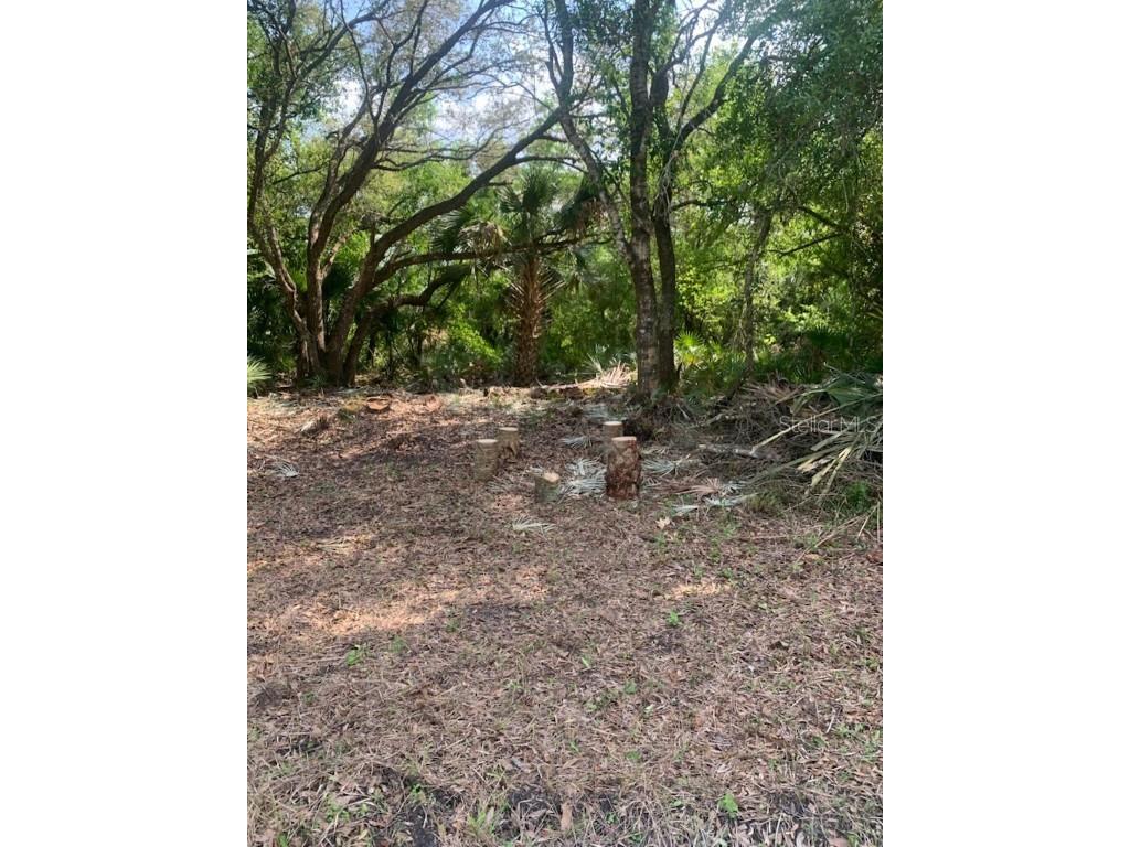 17774 NW 254th Street Okeechobee FL 34972 OK225082 image9