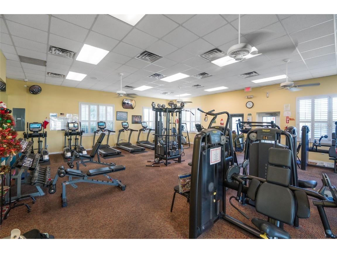 17782 SE 113th Terrace Summerfield FL 34491 OM711273 image39