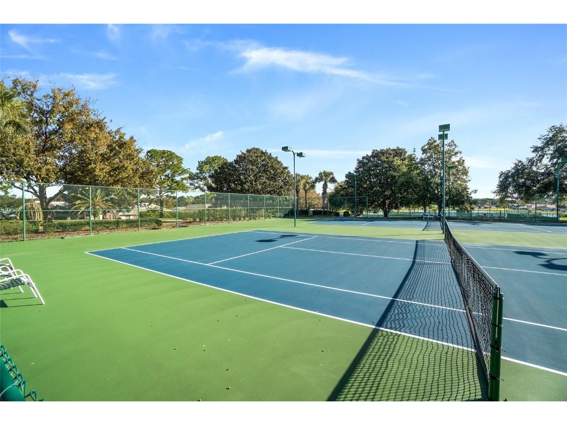 17782 SE 113th Terrace Summerfield FL 34491 OM711273 image47