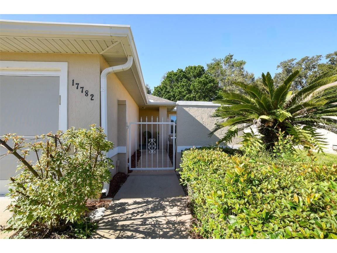 17782 SE 113th Terrace Summerfield FL 34491 OM711273 image8