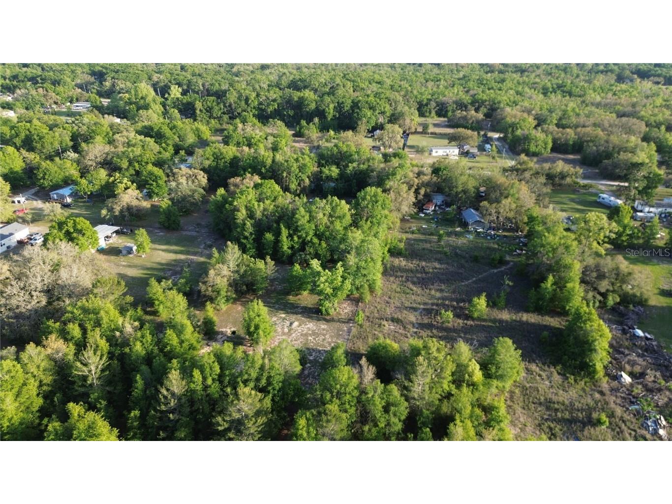 17783 Bonifay Lane Spring Hill FL 34610 W7874737 image5