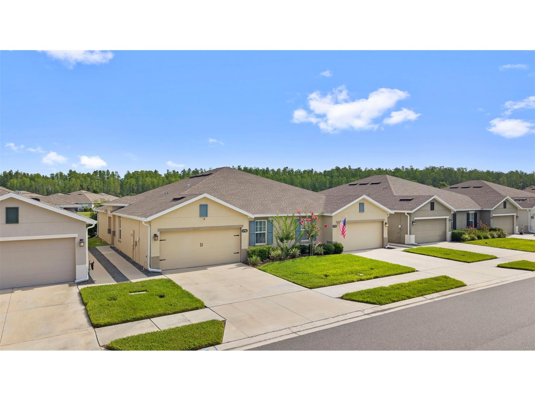 17784 Turning Leaf Circle Land O Lakes FL 34638 TB8518071 image44