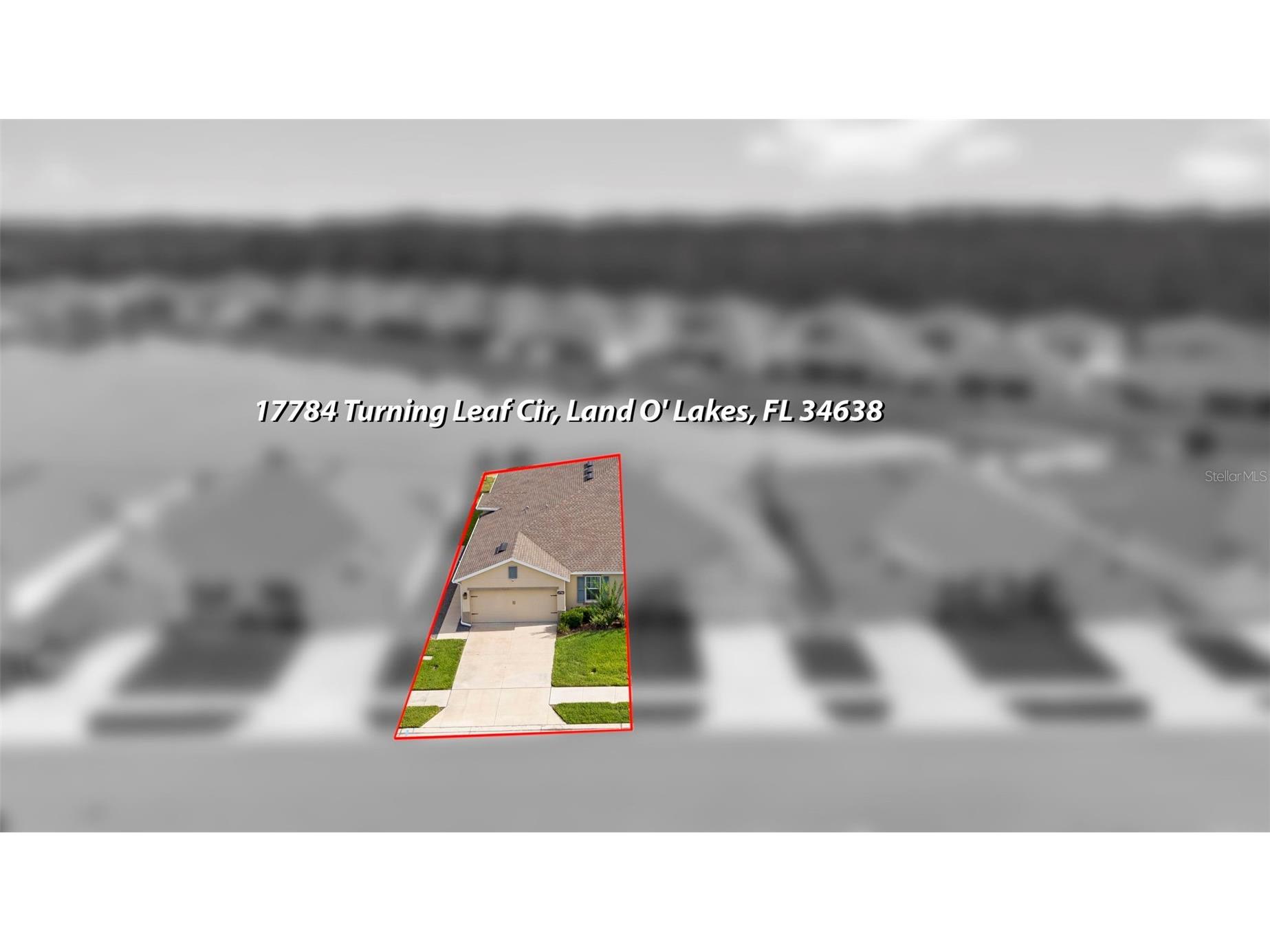 17784 Turning Leaf Circle Land O Lakes FL 34638 TB8518071 image45