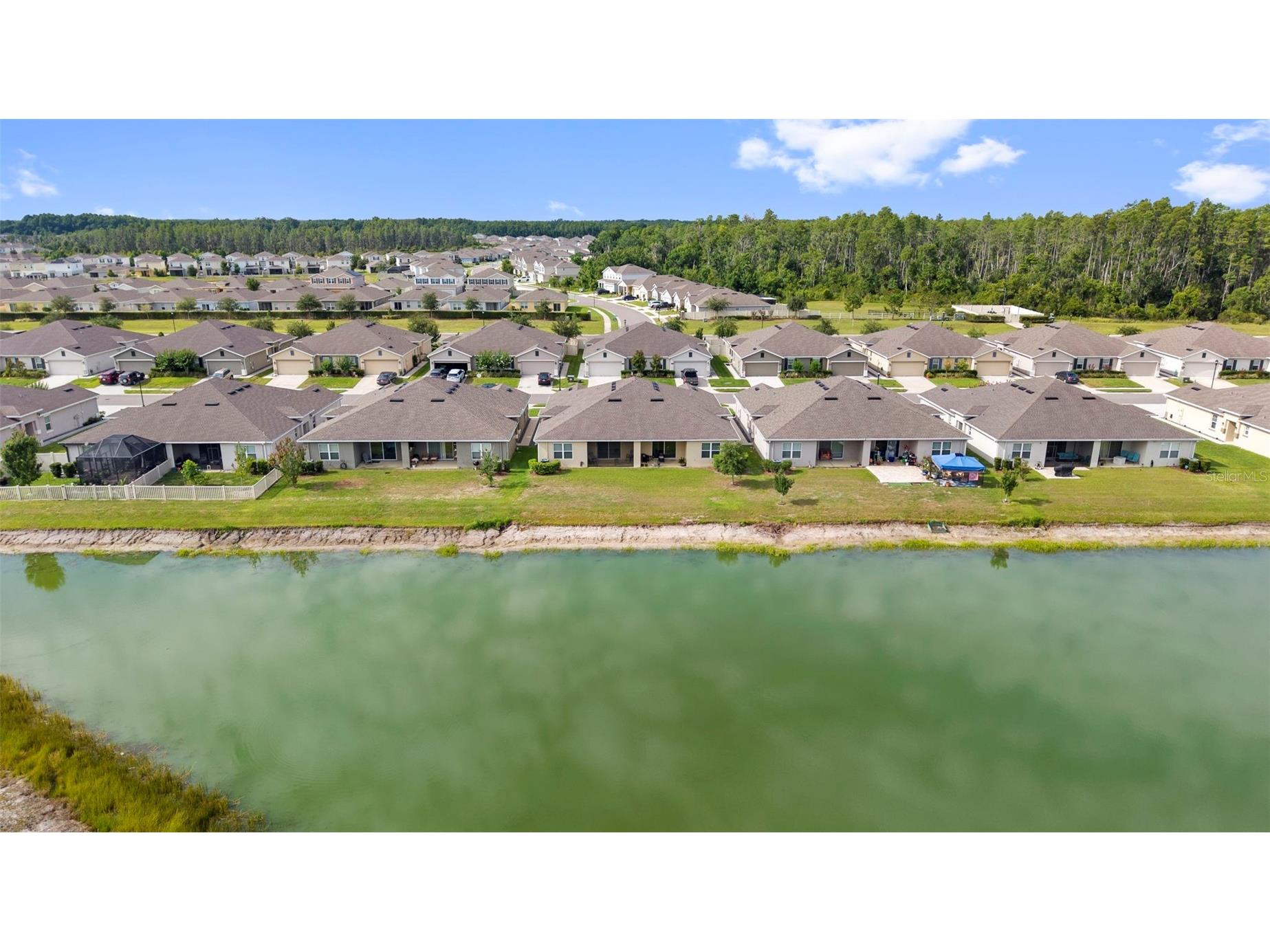 17784 Turning Leaf Circle Land O Lakes FL 34638 TB8518071 image47