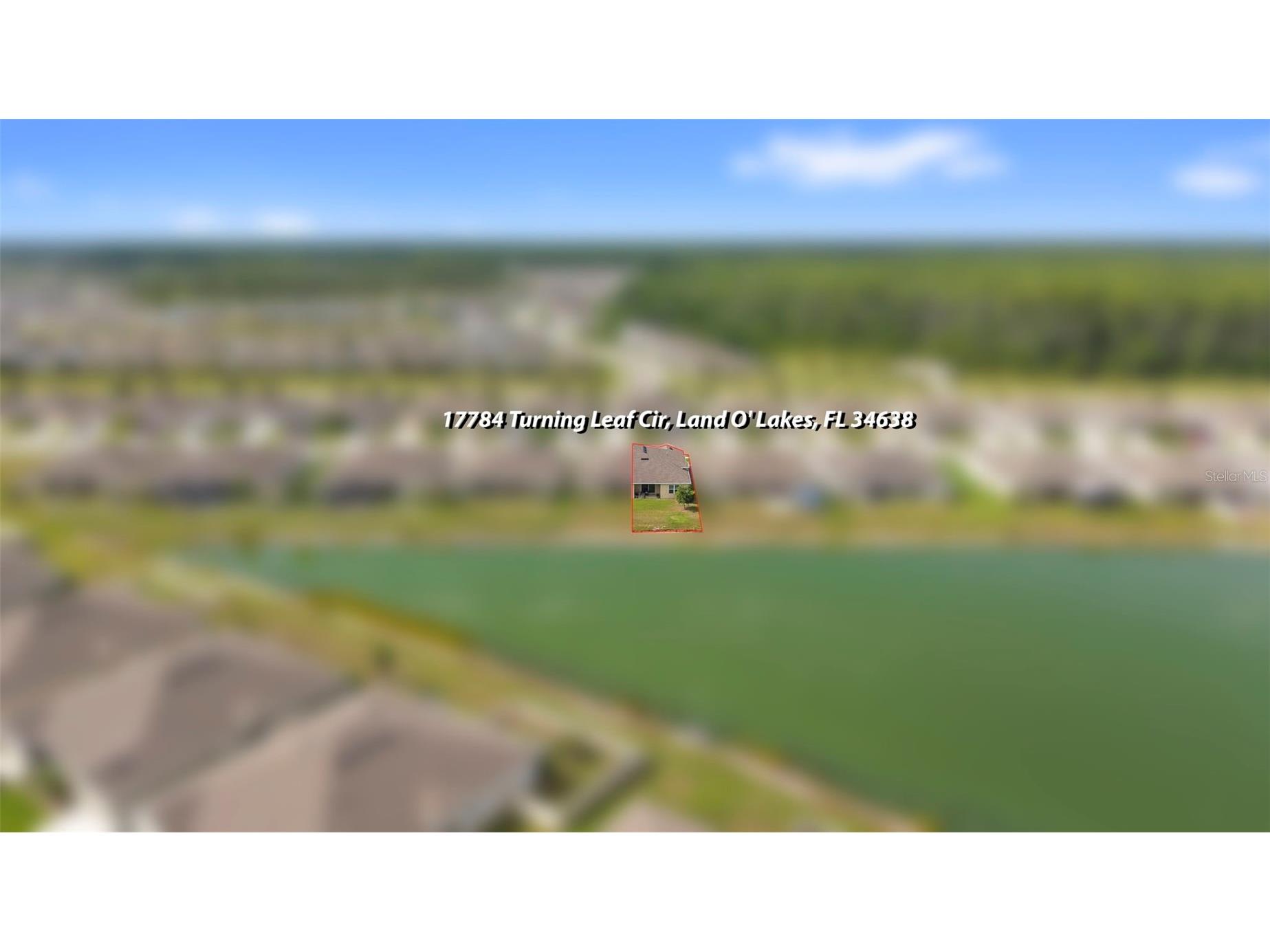17784 Turning Leaf Circle Land O Lakes FL 34638 TB8518071 image51