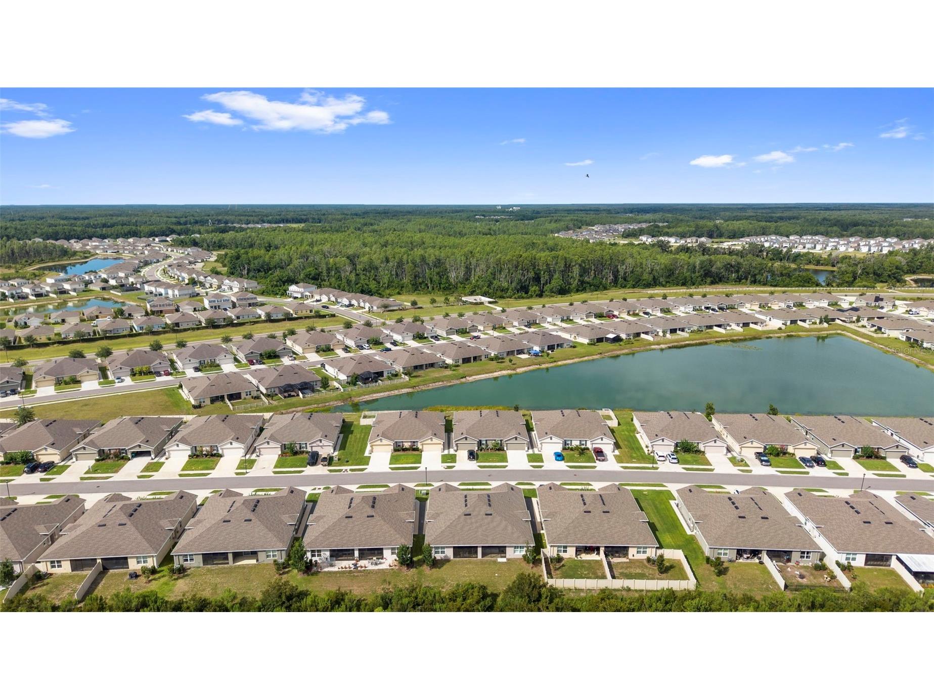 17784 Turning Leaf Circle Land O Lakes FL 34638 TB8518071 image53