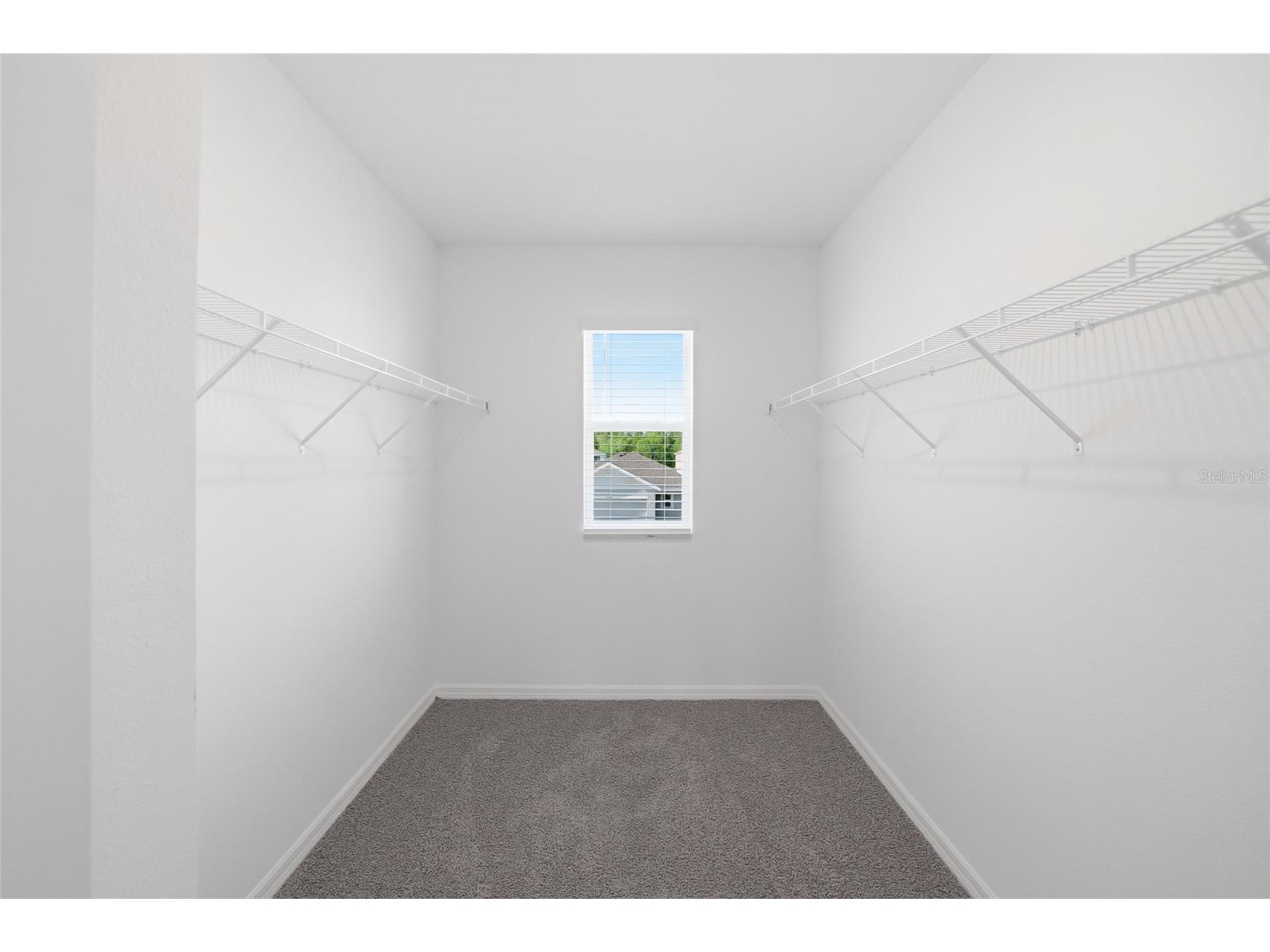 17786 Acorn Drop Road Land O Lakes FL 34638 S5149183 image24