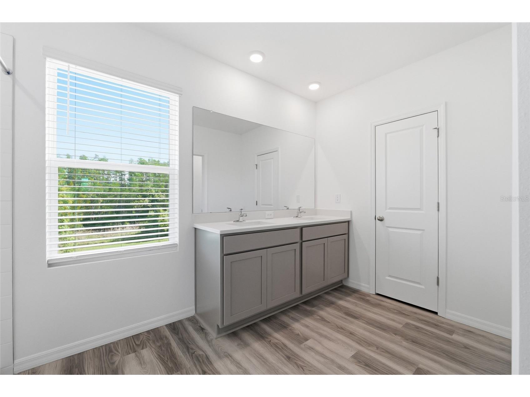 17786 Acorn Drop Road Land O Lakes FL 34638 S5149183 image26
