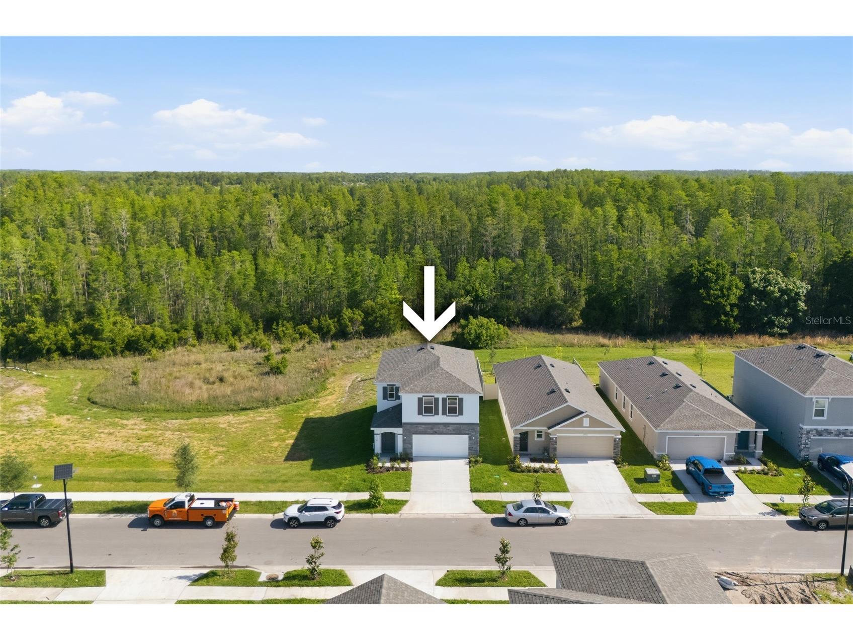 17786 Acorn Drop Road Land O Lakes FL 34638 S5149183 image3