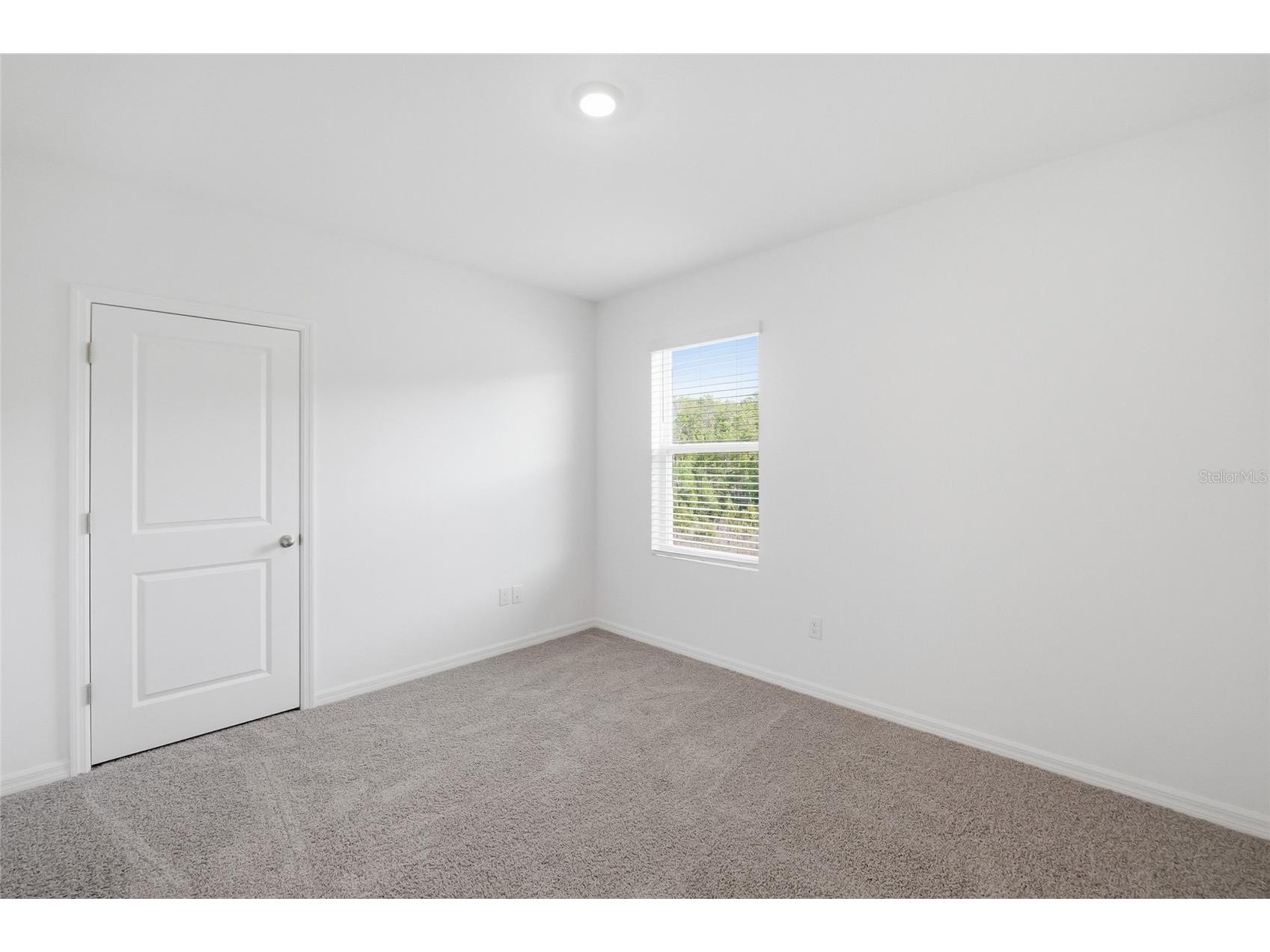 17786 Acorn Drop Road Land O Lakes FL 34638 S5149183 image37