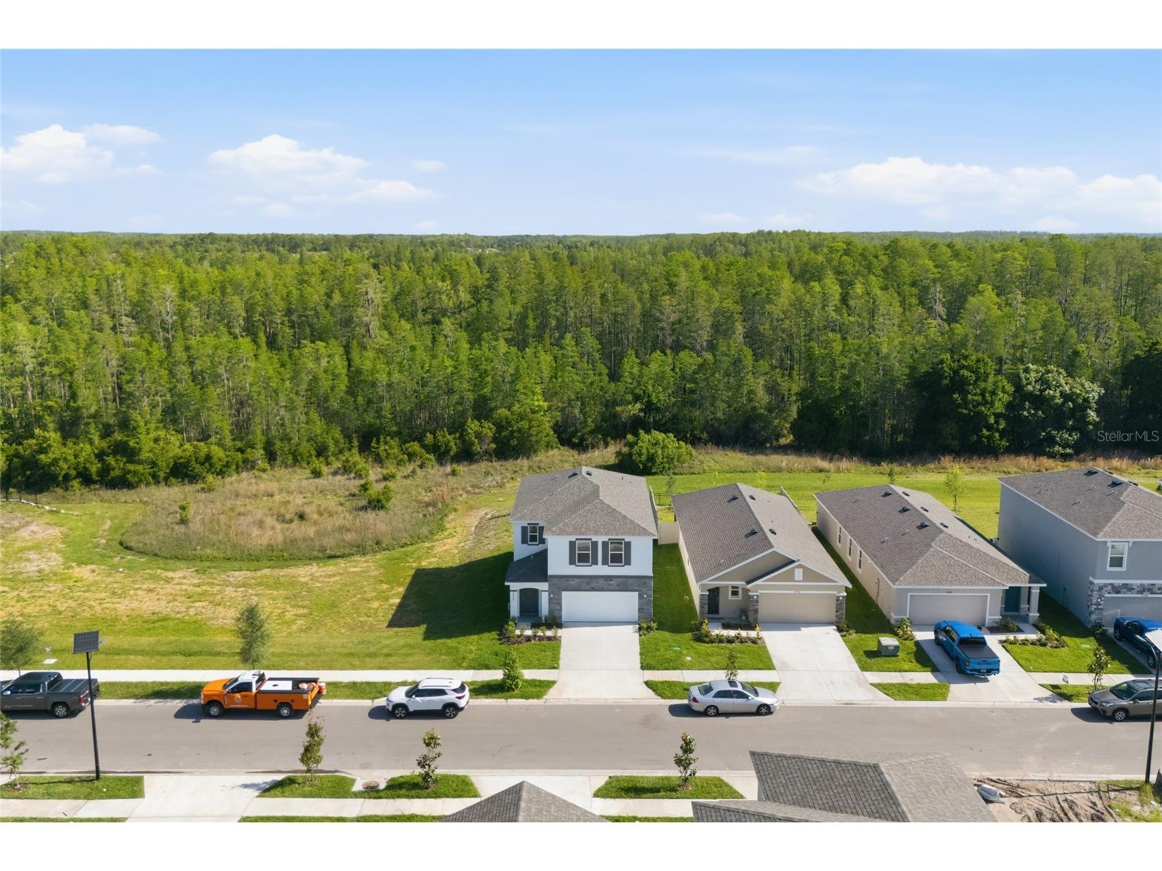 17786 Acorn Drop Road Land O Lakes FL 34638 S5149183 image4