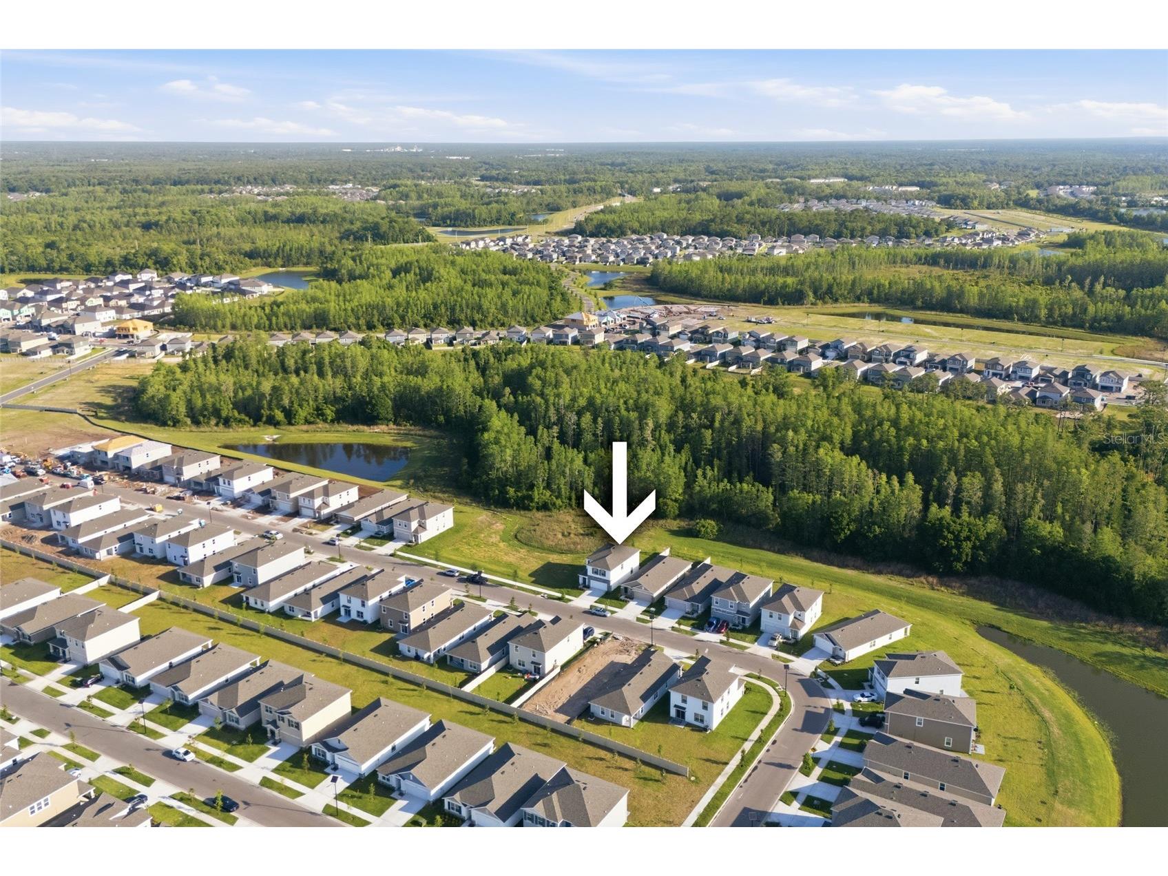 17786 Acorn Drop Road Land O Lakes FL 34638 S5149183 image44