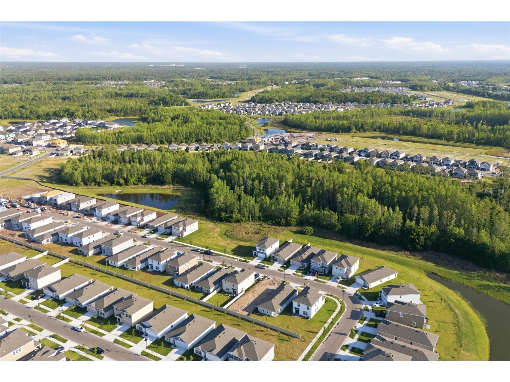 17786 Acorn Drop Road Land O Lakes FL 34638 S5149183 image46