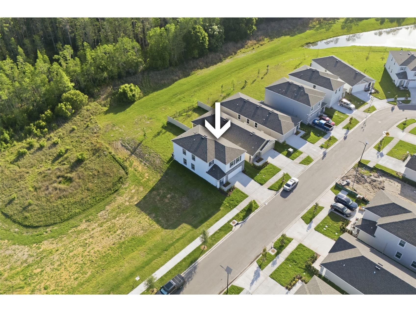 17786 Acorn Drop Road Land O Lakes FL 34638 S5149183 image5