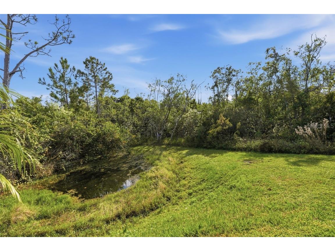 17788 Passionflower Circle Clermont FL 34714 O6364913 image43