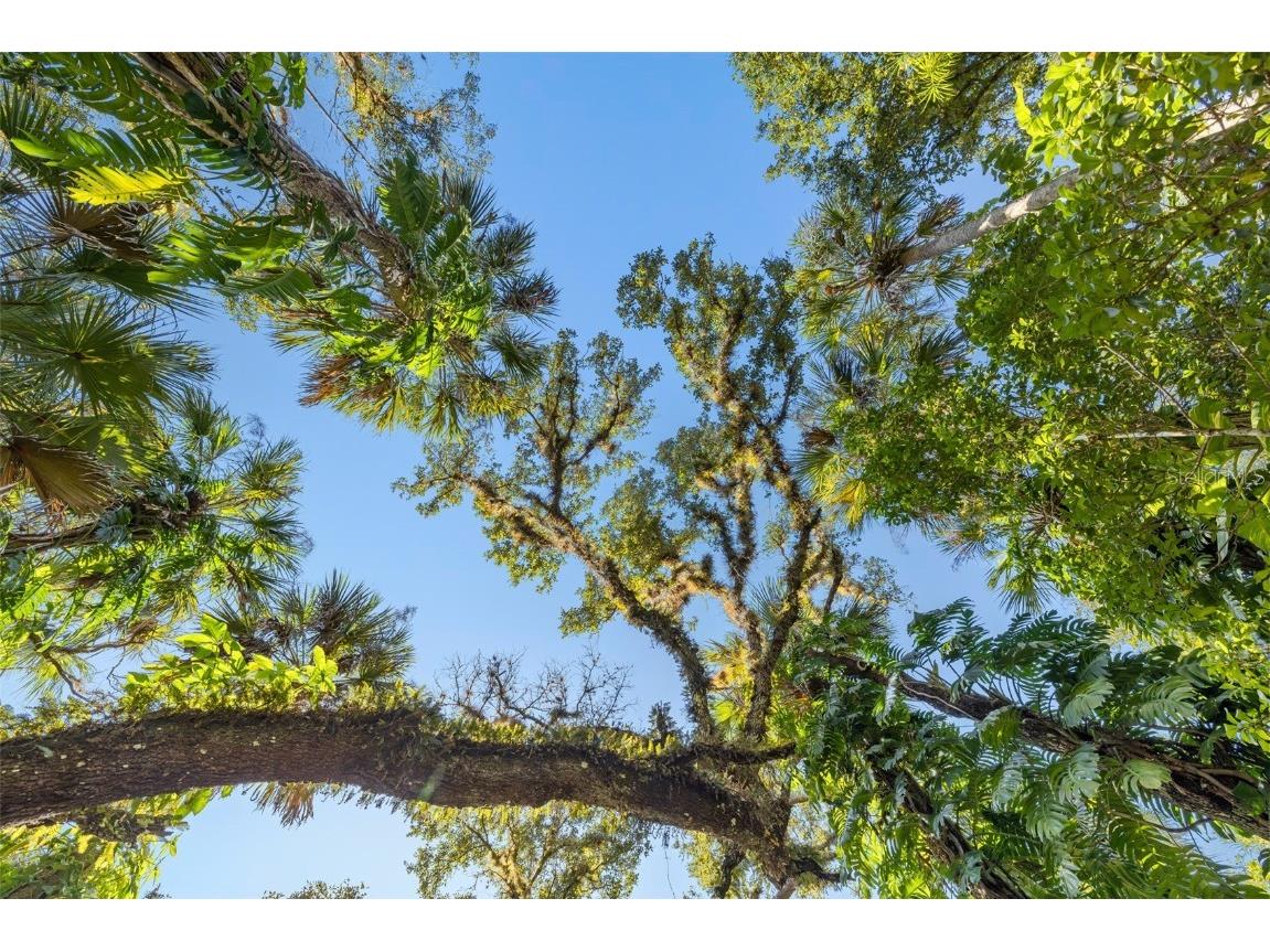 17790 Caloosa Road Alva FL 33920 C7515293 image2