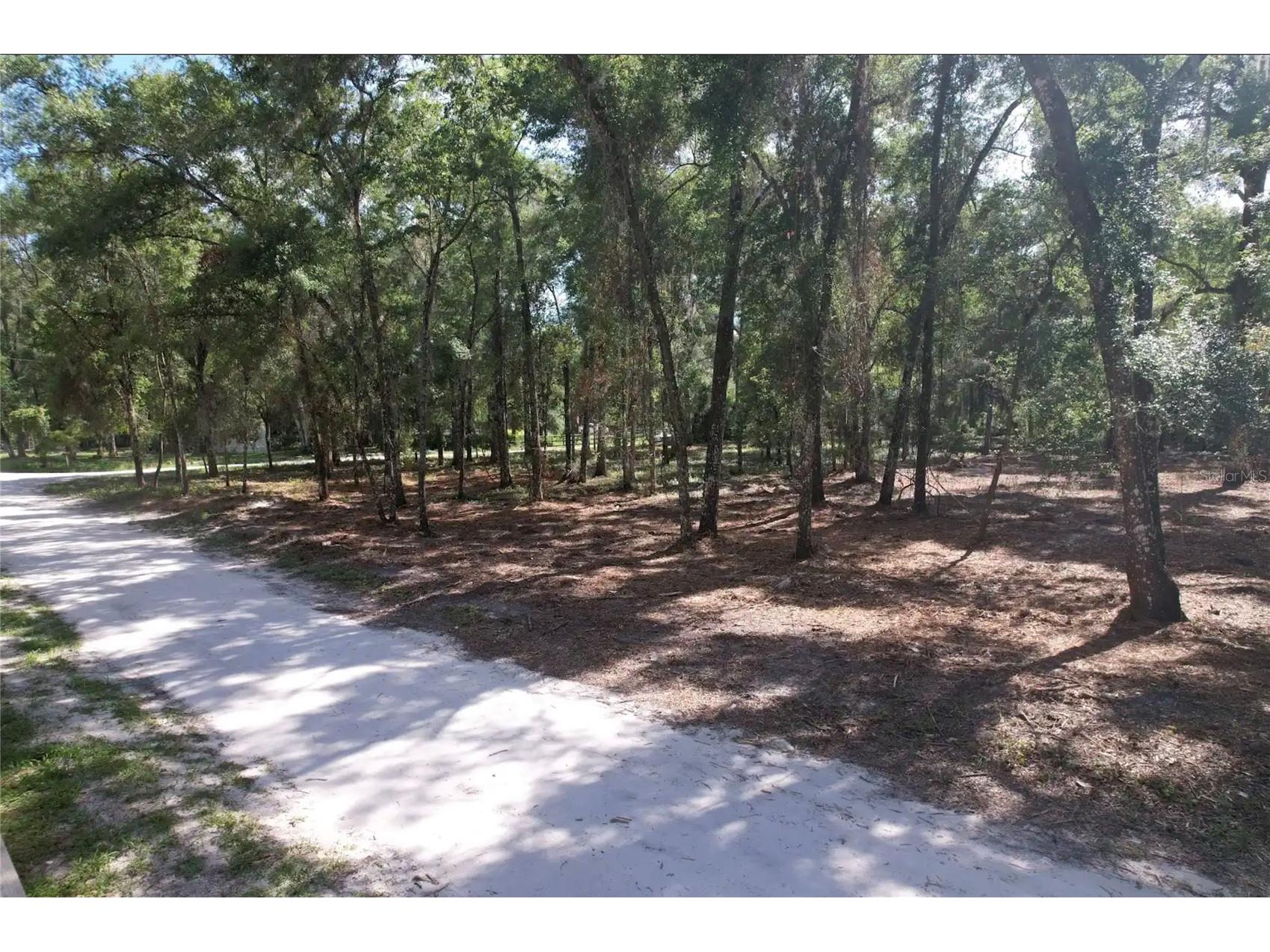 17792 SE 30th Avenue Summerfield FL 34491 O6417264 image3