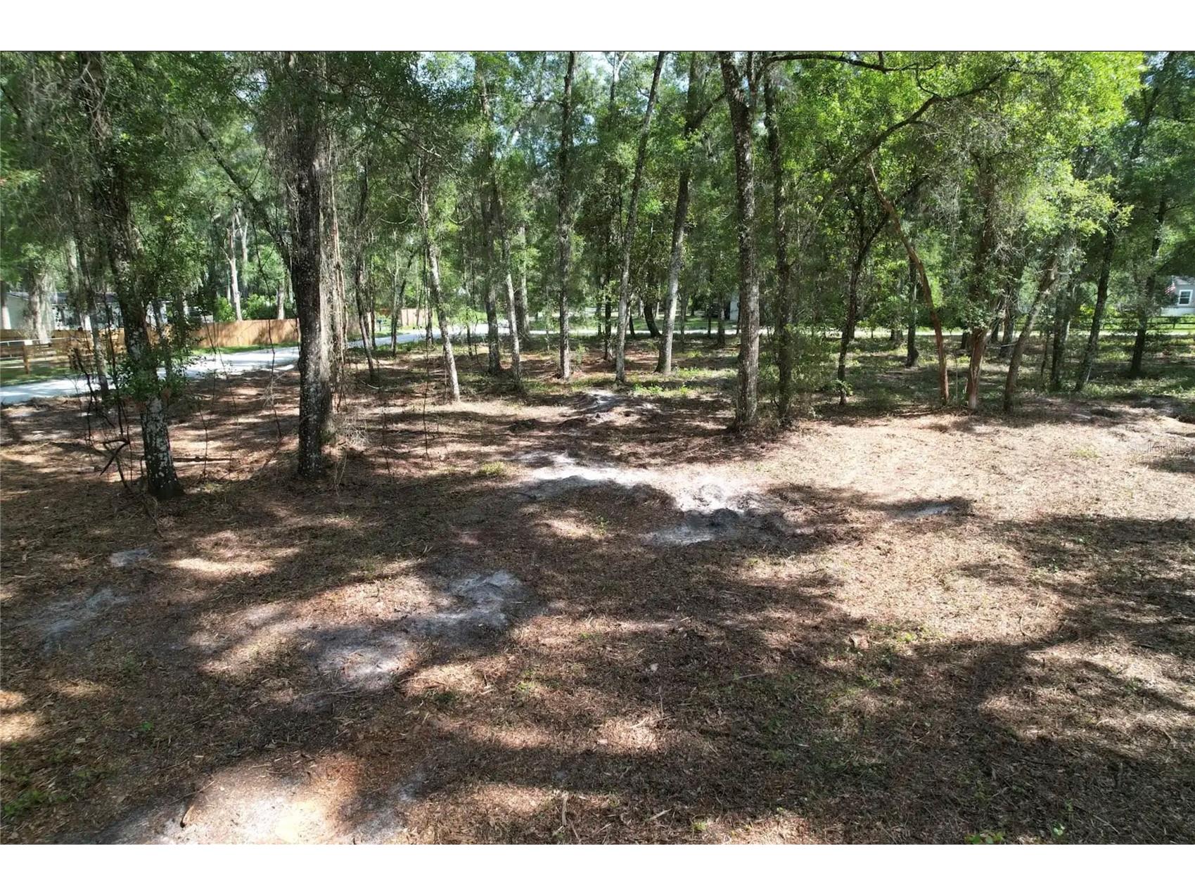 17792 SE 30th Avenue Summerfield FL 34491 O6417264 image5